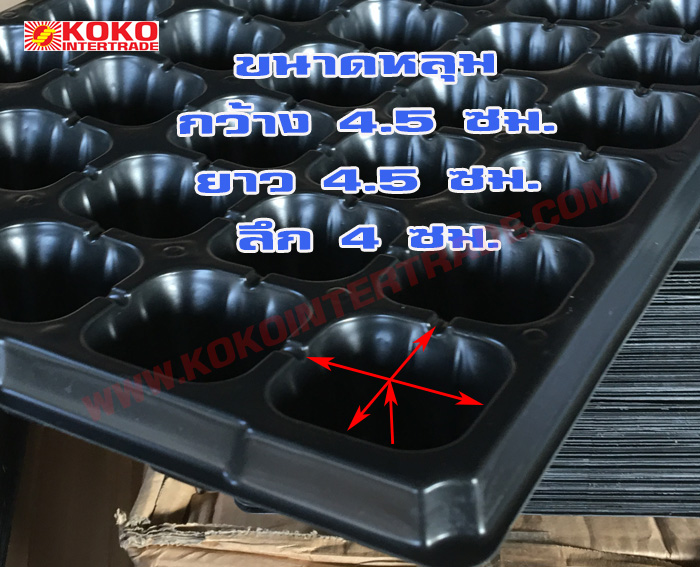 ถาดเพาะชำกล้าไม้ 50 หลุม เหลี่ยม หนา0.7มม มีขอบ 1กล่อง รูปที่ 4