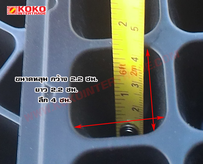 ถาดเพาะชำกล้าไม้104 หลุมกลม หนา0.7มม มีขอบ 1กล่อง รูปที่ 5
