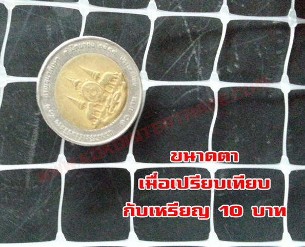 ตาข่ายกรงไก่ สีขาวขุ่น ขนาดกว้าง2ม.ยาว30ม. จำนวน 10ม้วน รูปที่ 5