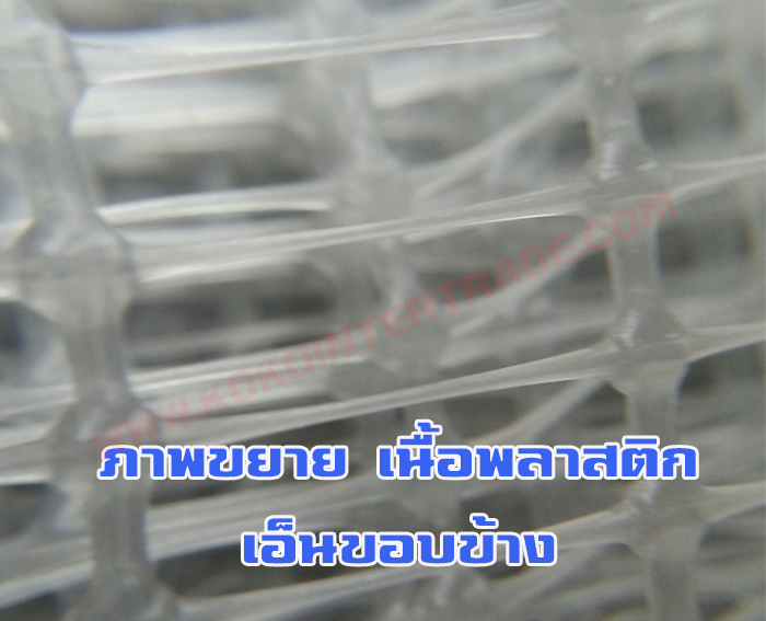 ตาข่ายกรงไก่ สีขาวขุ่น ขนาดกว้าง2ม.ยาว30ม. จำนวน 10ม้วน รูปที่ 3