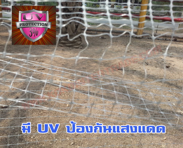 ตาข่ายกรงไก่ สีขาวขุ่น ขนาดกว้าง2ม.ยาว30ม. จำนวน 10ม้วน รูปที่ 4