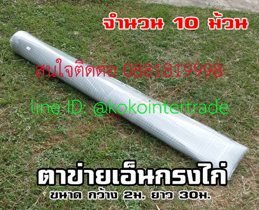 ตาข่ายกรงไก่ สีขาวขุ่น ขนาดกว้าง2ม.ยาว30ม. จำนวน 10ม้วน รูปที่ 7