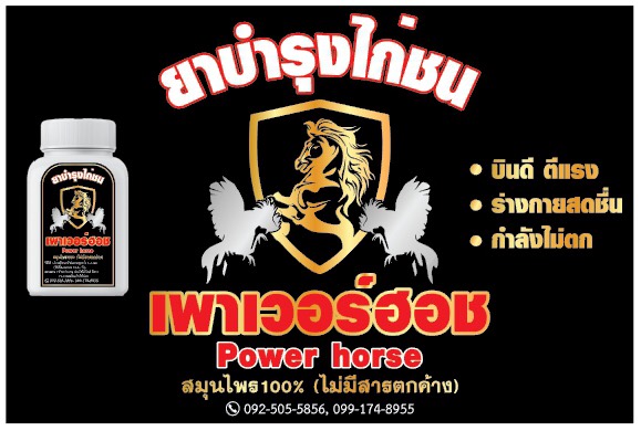 ยาบำรุงไก่ชน ยาเลี้ยงไก่ชน เพาเวอร์ฮอช (Power horse) สมุนไพร 100% (ไม่มีสารตกค้าง)  รูปที่ 1