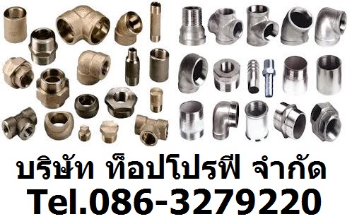 ข้อต่อ Fitting ข้องอ ข้อลด Tee Cap Cross ปั๊มน้ำมัน ปั๊มน้ำ  ปั๊มน้ำอัตโนมัติ ปั๊มน้ำบาดาล 0863279220 รูปที่ 1