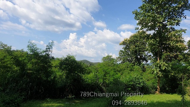 ขายที่ดินวิวดอย อ.ดอยสะเก็ด เหมาะสำหรับทำบ้านสวน บรรยากาศดี รูปที่ 1