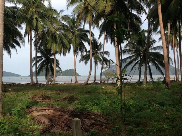 ขายที่ดิน 2 แปลง ที่ดินขนาด 200 ตารางวา ตรงข้ามเกาะกุลา จังหวัดชุมพร รูปที่ 1