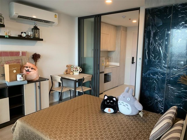 Condo for rent Ciela Sripatum เซียล่า ศรีปทุม ห้องสวย เฟอร์ครบ พร้อมอยู่ ชั้นที่ 19 รูปที่ 1