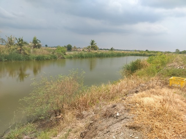 ขายที่ดินใกล้ถนนสุวินทวงศ์ ต.บางเตย อ.เมืองฉะเชิงเทรา รูปที่ 1