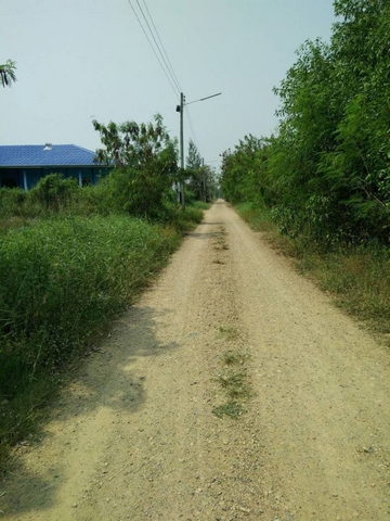 ขาย ที่ดินเปล่า คลอง 4 คลองหลวง ซอยคลองสี่ตะวันตก 22 จ.ปทุมธานี 3-3-8 ไร่ พื้นที่สีเขียว รูปที่ 1