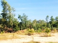 ขายที่ดินติดคลองใหญ่ อำเภอเมืองระยอง จังหวัดระยอง 19-3-64.3 ไร่