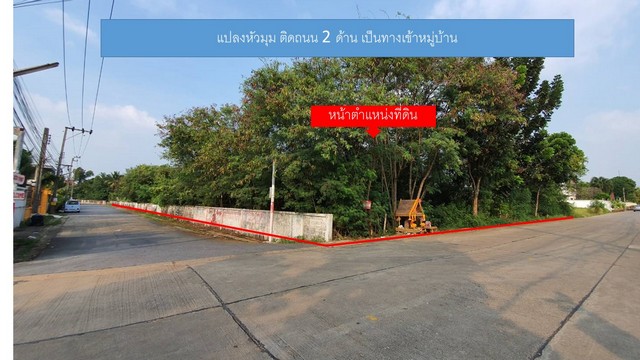 N ขายที่ดิน 2ไร่ 92 วา ถ.พุทธมณฑล สาย2 ซ.21 100ม. เหมาะสร้างบ้าน สำนักงาน รูปที่ 1