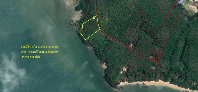 RL29 Land For Sale ที่ดินบนเกาะ 3 ไร่ ติดทะเล ริมหาดเกาะปอ กระบี่  รูปที่ 1