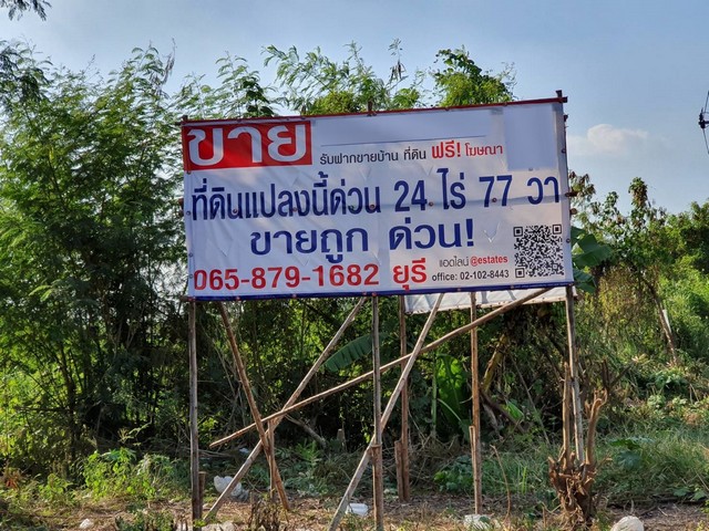 ขายที่ดิน เนื้อที่ 24-0-77 ไร่ บ้านกล้วย-ไทรน้อย ติดถนน หน้ากว้าง 40 เมตร ลึก 585 เมตร ติดคลอง 80 ม. รูปที่ 1