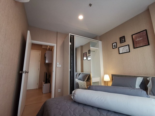 The Tree Sukhumvit 71 fully furnished 30th fl beautiful view BTS พระโขนง รูปที่ 1