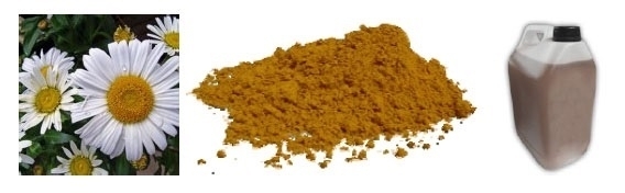 Pyrethrum Extract 50% รูปที่ 2