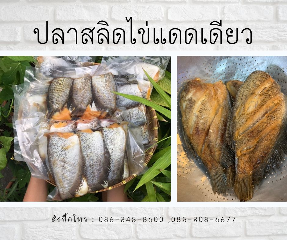 ปลาสลิดไข่แดดเดียว พร้อมส่ง ทักมาจ้า รูปที่ 1