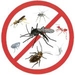 รูปย่อ สเปรย์กำจัดแมลงทุกชนิด ไม่มีสารพิษตกค้าง Insecticide 1 ลิตร รูปที่4