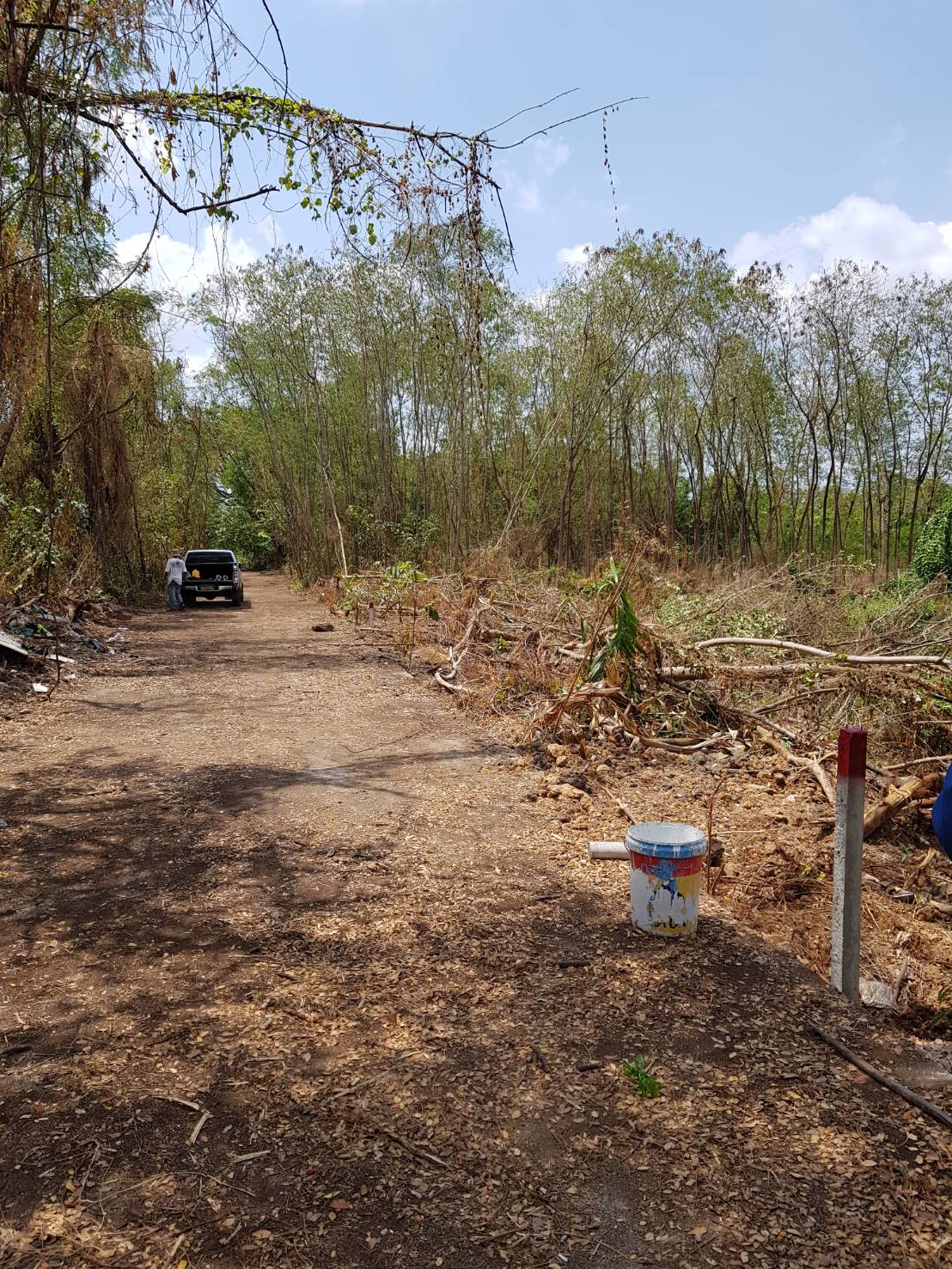 0398 ขายที่ดิน 357 ตรว. ซ.พัฒนาการ 44 เขตสวนหลวง กรุงเทพฯ รูปที่ 4