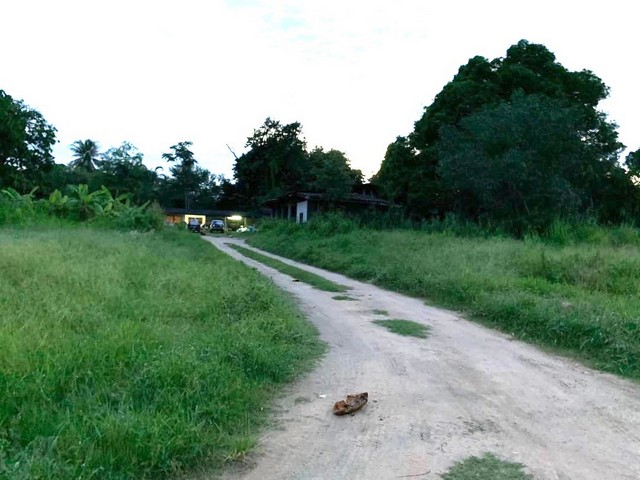 ขายที่ดิน บ้านฉาง ระยอง 4ไร่ 40 ตร.ว. ถนนสุขุมวิท ใกล้สนามบินอู่ตะเภา 5 นาที รูปที่ 1