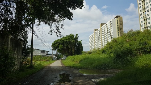 ขายที่ดิน 300 วา ซอยลาซาล ใกล้โรงเรียน บางกอกพัฒนา สวย ราคาถูกมาก รูปที่ 1