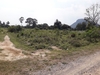 รูปย่อ ขายที่ดิน ตำบล สามพระยา อำเภอชะอำ เพชรบุรี เป็นแปลงใหญ่ รูปทรงอิสระ โทร 0851936564 รูปที่4