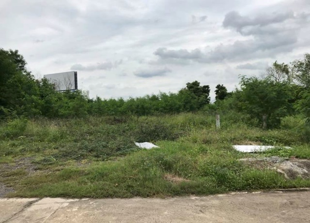 SL1 ขายที่ดินตารางวาละ 80000 บาท ตัดใหม่วัชรพล-พหลโยธิน New land for sale Watcharaphon-Phaholyothin รูปที่ 1