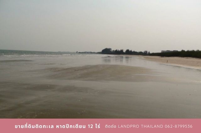 ขายที่ดินติดหาดปึกเตียน เพชรบุรี แปลงสวย ติดทะเล หาดส่วนตัว รูปที่ 1