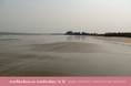 ขายที่ดินติดหาดปึกเตียน เพชรบุรี แปลงสวย ติดทะเล หาดส่วนตัว