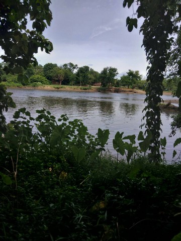 ขายที่ดินแปลงสวย 1-0-73 ไร่ ติดแม่น้ำแควใหญ่ วังด้งในอำเภอเมืองกาญจนบุรี รูปที่ 1