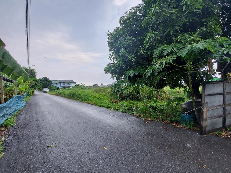 ขายที่ดินแปลงสวย 100 วา กว้าง 20X17เมตร ถนนราษฏร์อุทิศ ซ.12(ซอยสวนขวัญ) แขวง แสนแสบ เขตมีนบุรี กรุงเทพมหานคร รูปที่ 3
