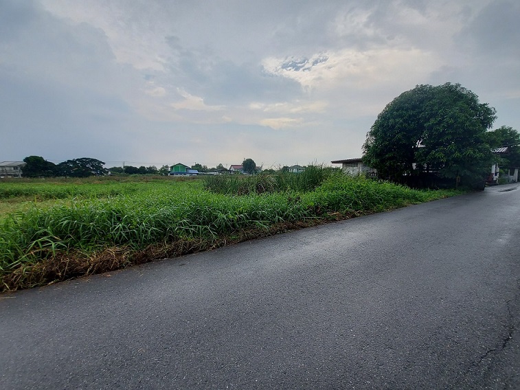 ขายที่ดินแปลงสวย 100 วา กว้าง 20X17เมตร ถนนราษฏร์อุทิศ ซ.12(ซอยสวนขวัญ) แขวง แสนแสบ เขตมีนบุรี กรุงเทพมหานคร รูปที่ 6