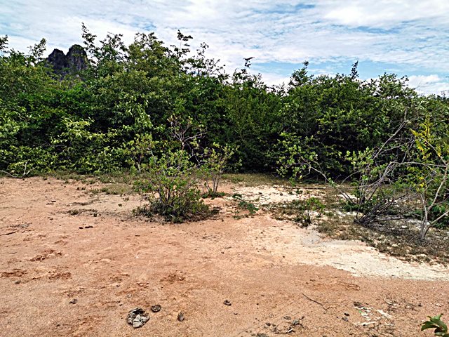 ขาย ที่ดิน เนื้อที่ 60 ตรว. ต. นายาง อ. ชะอำ จ. เพชรบุรี รูปที่ 1