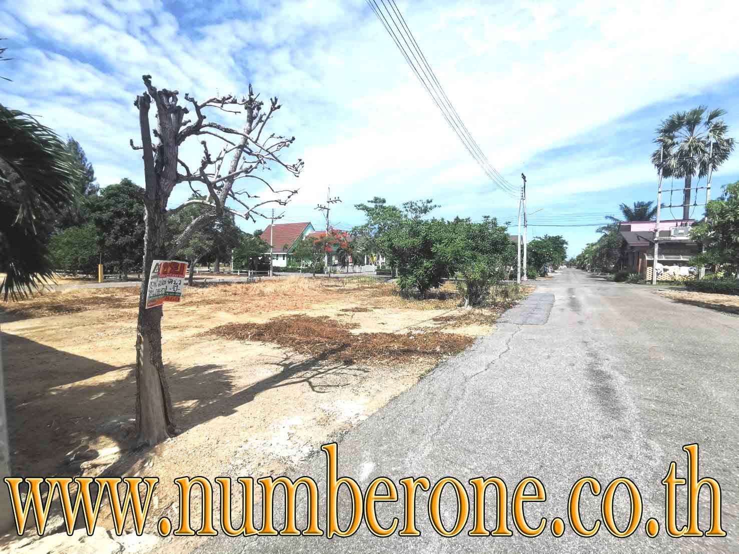 ขายที่ดินจัดสรร โครงการบางชองมารีน่า ถนนคลองโคน-ชะอำ อำเภอท่ายาง จังหวัดเพชรบุรี รูปที่ 6