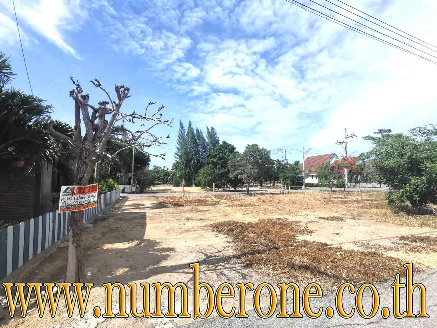 ขายที่ดินจัดสรร โครงการบางชองมารีน่า ถนนคลองโคน-ชะอำ อำเภอท่ายาง จังหวัดเพชรบุรี รูปที่ 5