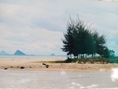 ขายที่ดิน ติดทะเลสุดปลายหาด กุยบุรี ประจวบคีรีขันธ์