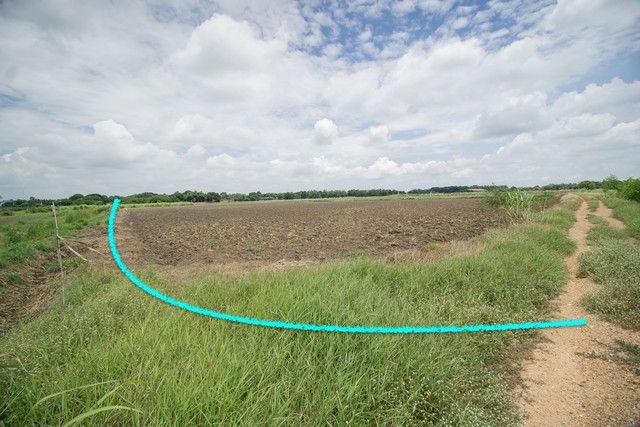 ขาย ที่ดิน ต.สำพะเนียง บ้านแพรก อยุธยา ราคาถูกมาก (ที่นา) รูปที่ 1