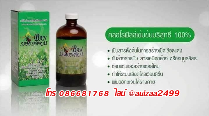 คลอโรฟิลล์บริสุทธิ์ 100% บ้านสมุนไพรชัยมงคล รูปที่ 3