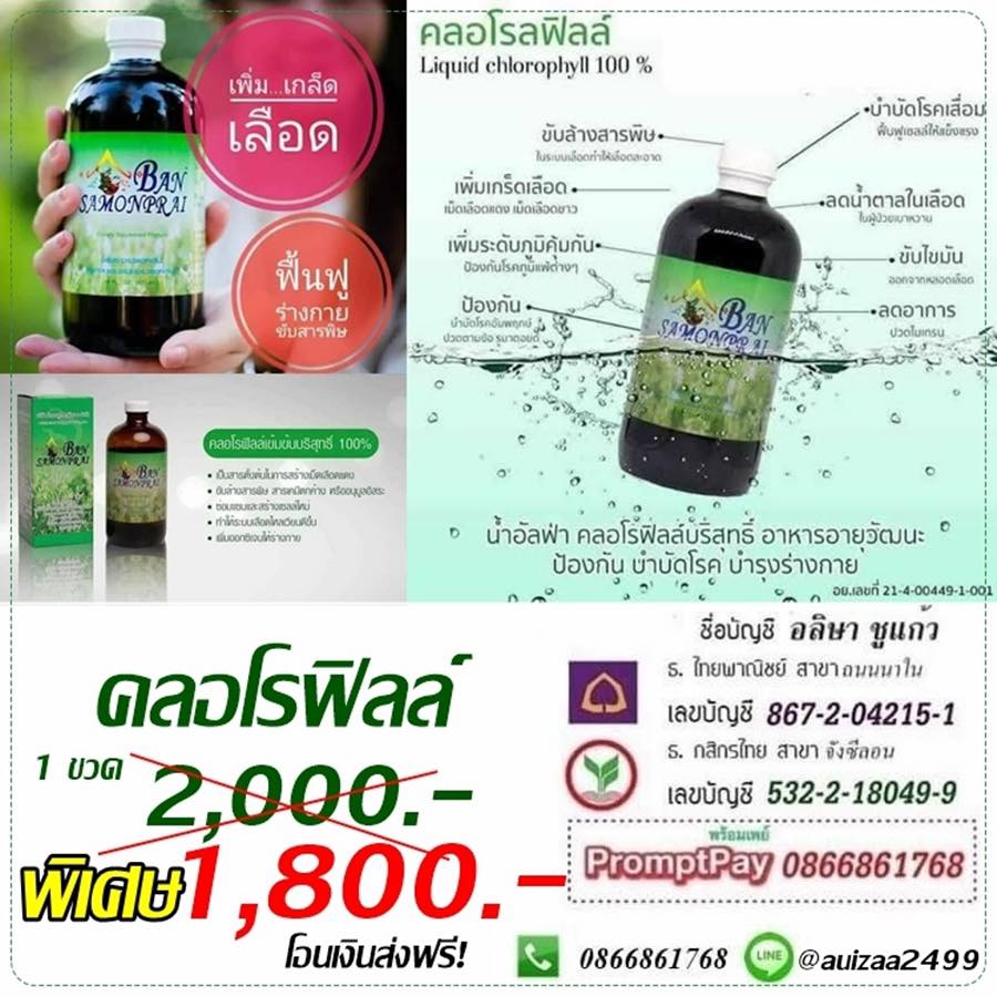 คลอโรฟิลล์บริสุทธิ์ 100% บ้านสมุนไพรชัยมงคล รูปที่ 4