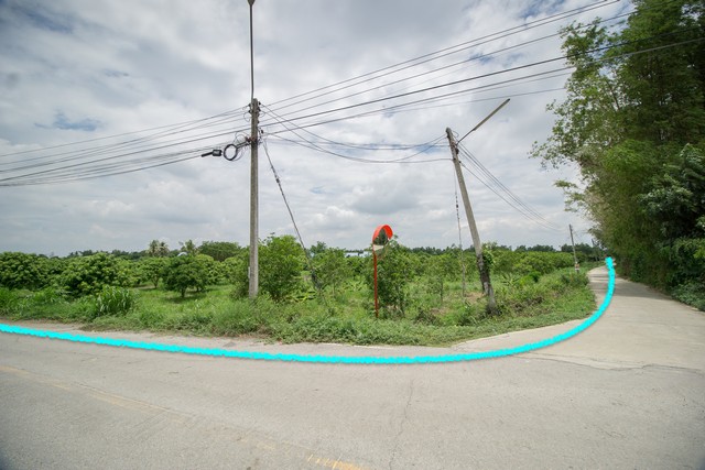 ขาย ที่ดิน ต.สำพะเนียง บ้านแพรก อยุธยา แปลงมุมถนนสวยมาก  รูปที่ 1