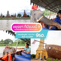 ล่องเรือเล็กรอบเกาะเมืองอยุธยา รูปที่ 1