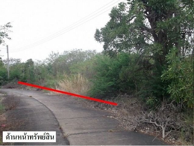 ที่ดินขาย : ที่ดินโครงการกฤษดาซิตี้ เลคแอนด์พาร์ค เทพารักษ์ กม.16 รูปที่ 1