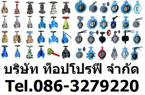 สวิงเช็ควาล์ว วูซังวาล์ว บอลเช็ควาล์ว เช็ควาล์วสำหรับน้ำมัน น้ำ แอร์ Check Valve 0863279220 รูปที่ 1