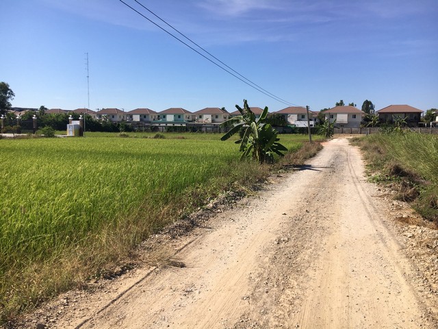 ขาย ที่ดิน 300 ตรว พุทธมณฑลสาย 5 แปลงสี่เหลี่ยม เหมาะสร้างบ้านอยู่อาศัย รูปที่ 1