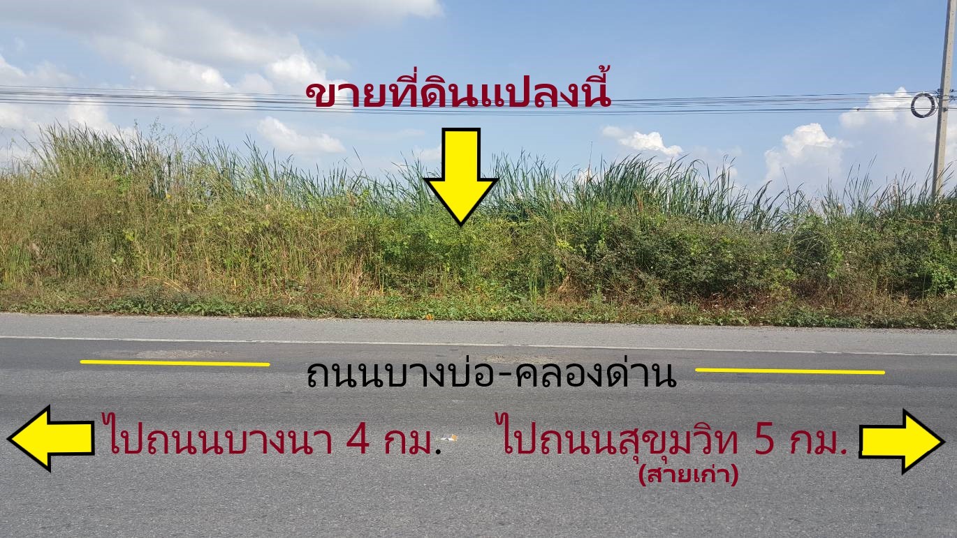 ขายที่ดิน 41 ไร่เศษ บางบ่อ คลองด่าน ( ถนนบางนา ตราด – ถนนสุขุมวิท สายเก่า ) รูปที่ 1