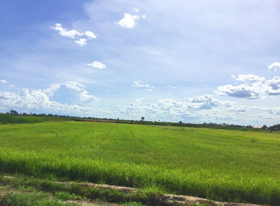 ขายที่ดินเนื้อที่ 4 ไร่ ทางเข้าวัดโรงเรียนวัดปทุมทองสุทธาราม สุพรรณบุรี รูปที่ 1