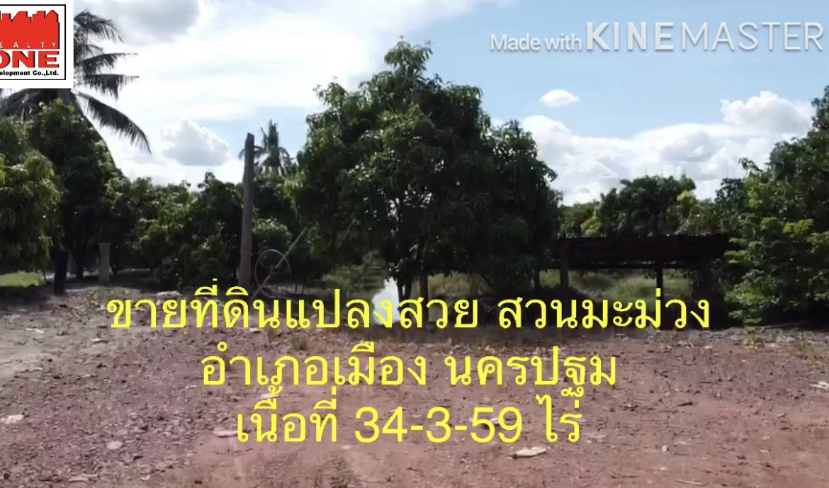 ขายที่ดินสวย มีอนาคต สวนมะม่วง 34-3-59 ไร่ คลองสิบห้าวา ตำบลดอนยายหอม อำเภอเมือง นครปฐม   รูปที่ 1