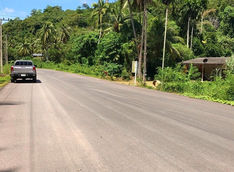 ขายที่ดิน เนื้อที่ 3 ไร่ บ้านบางหยี จ.ชุมพร รูปที่ 3