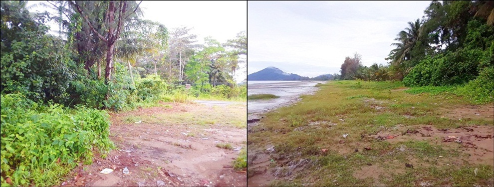 ขายที่ดินเนื้อที่ 7 ไร่ ติดทะเล ต.ปากน้ำตะโก จ.ชุมพร รูปที่ 6