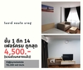 ให้เช่าคอนโด ไมอามี่บางปู ชั้น 1 ตึก 14 ถูกที่สุดในโครงการ 4,500 บาท