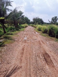 ขาย ที่ดินเปล่า คลองสี่ 2 ไร่ คลองหลวง ปทุมธานี ฟรีโอน รูปที่ 1